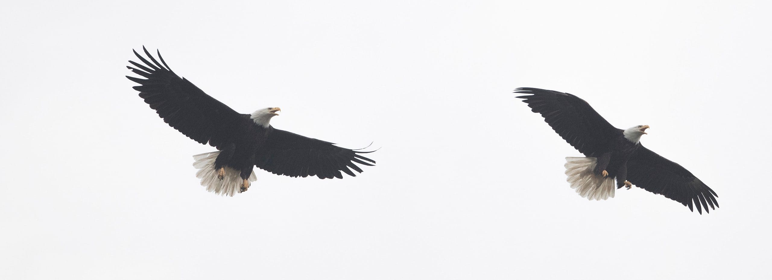 Dutch Harbor, Alaska, US