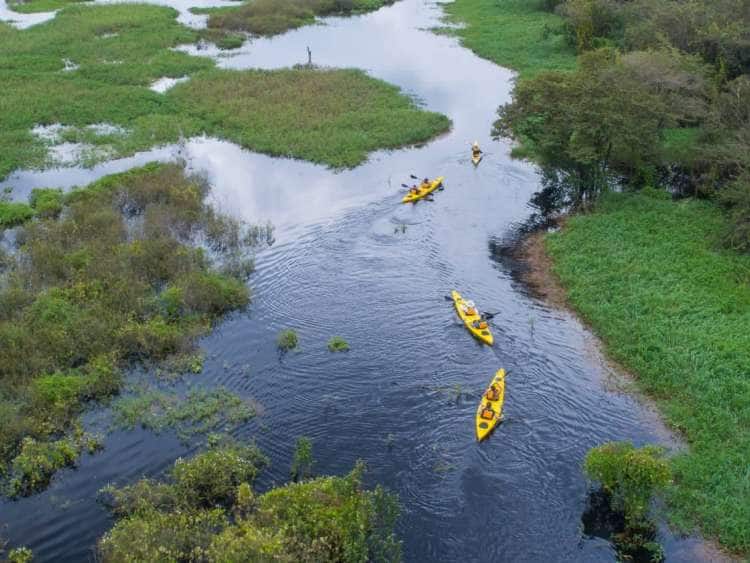 Aerial view of Seabourn guests kayaking while on their all-inclusive, luxury Amazon cruise.