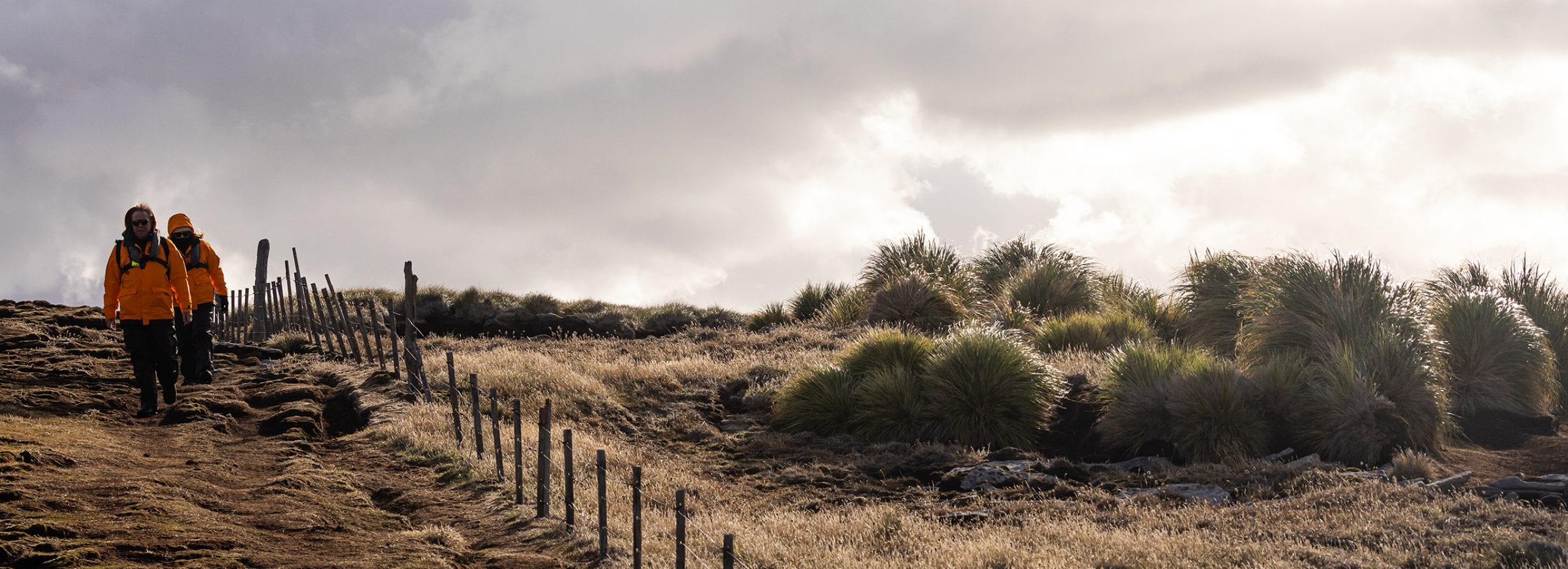 The SBN Falkland Island Experience (day 2 )