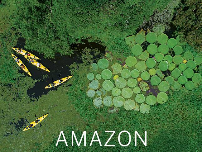Amazon Cruises