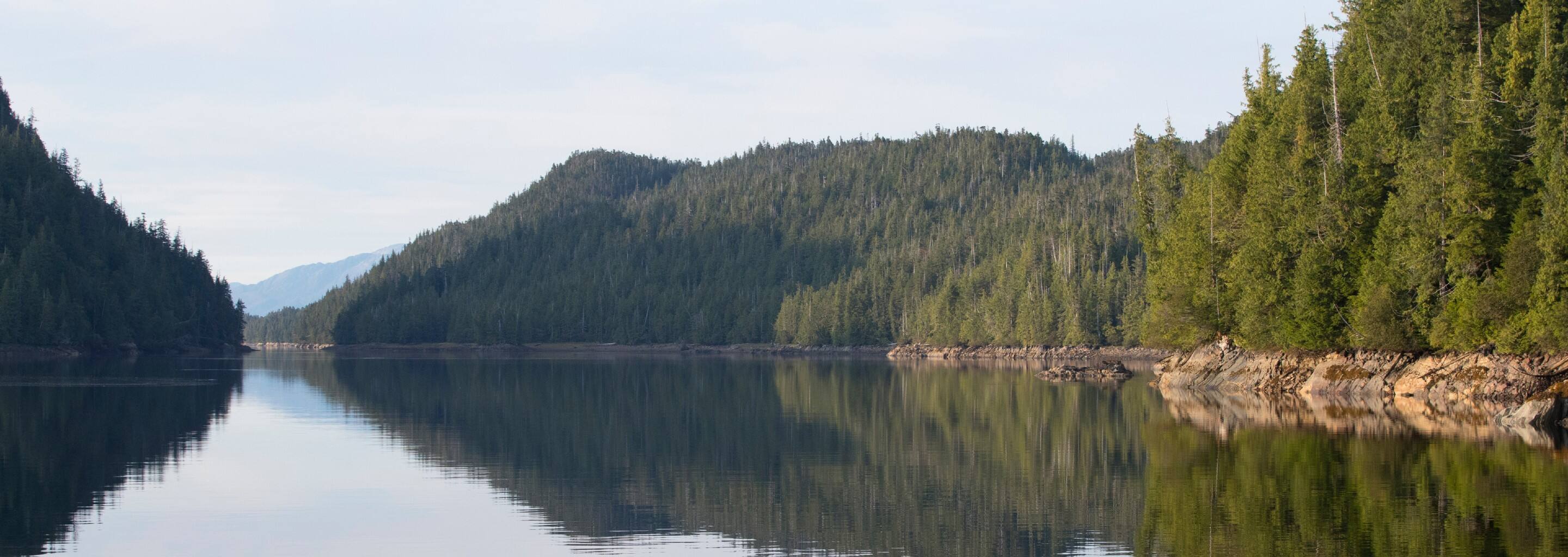 Cruising the Queen Charlotte Sound