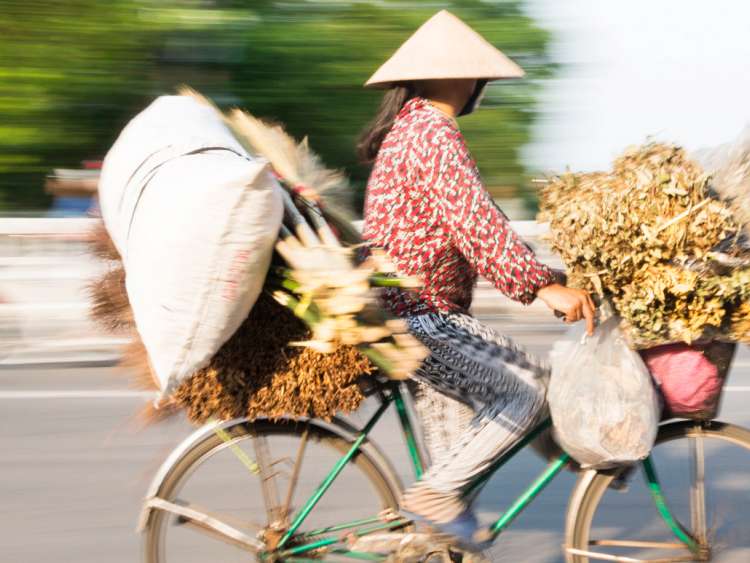 Vietnam, North Central Coast, Hue, Vietnamese woman cycling to market