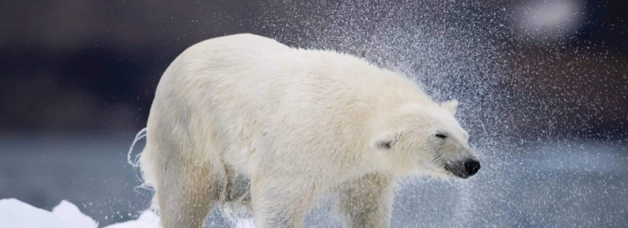 Dundas Harbour (Devon Island), Nunavut, Canada