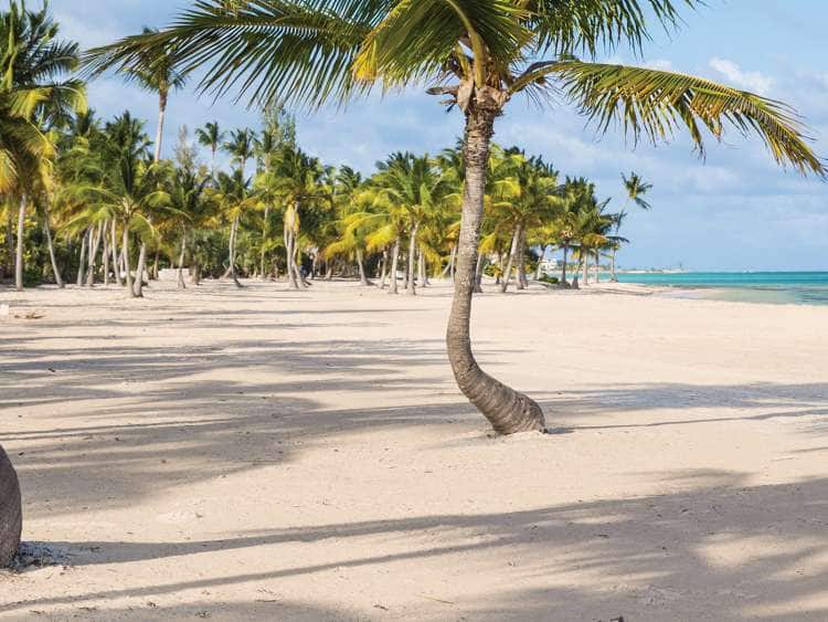 F4J4NE Juanillo Beach, Cap Cana, Punta Cana, Dominican Republic, West Indies, Caribbean, Central America