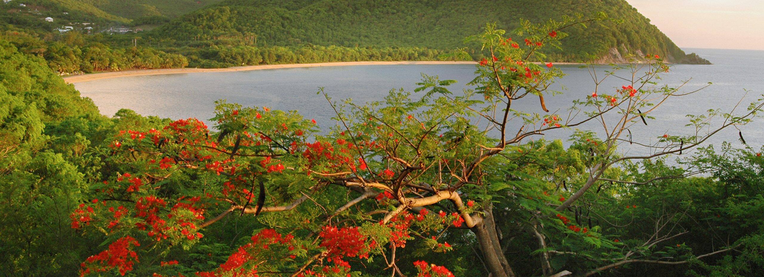 PointaPitre, Guadeloupe