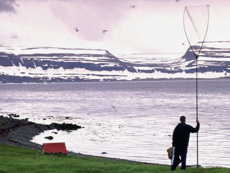 Iceland, Westfjords, Vigur, puffin hunter.