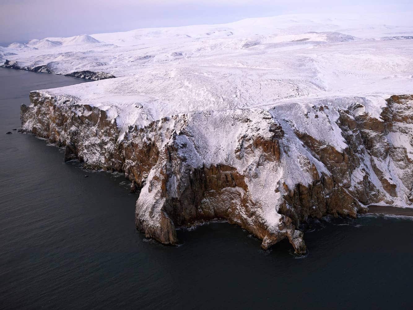 Wrangel Island Experience