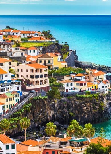  New Japan Voyages 2026 Illustration 