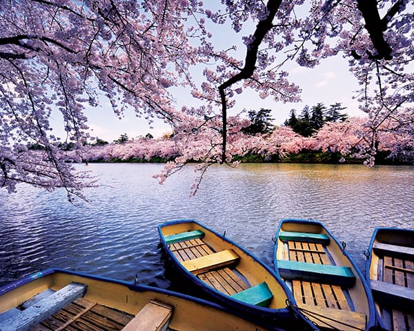  Foto zu New Japan Voyages 2026 