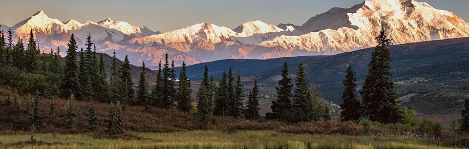 Trees and mountains landscape of Denali National Park, Alaska
