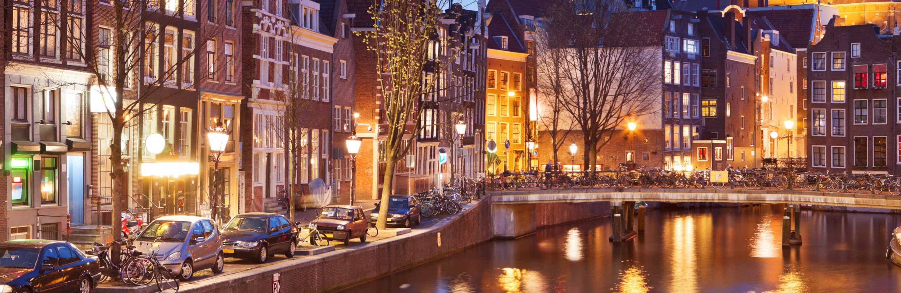 Private Amsterdam Half Day Minivan with Driver & Guide