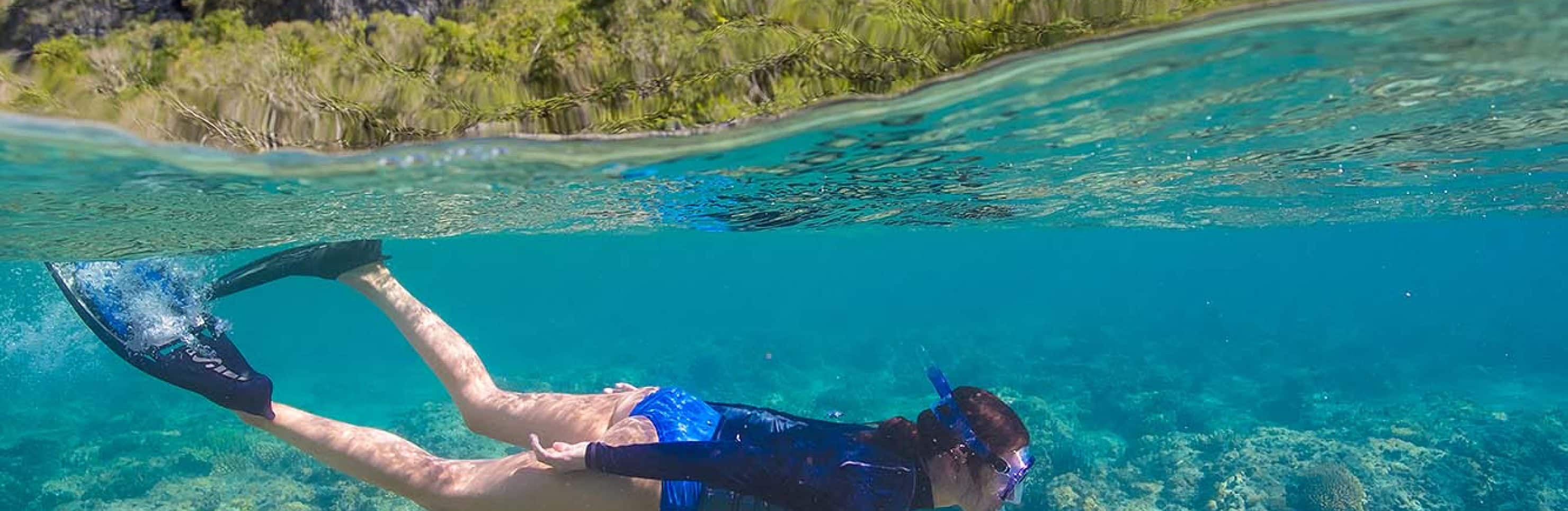 Catamaran Sail & Bonaire Marine Park Snorkel