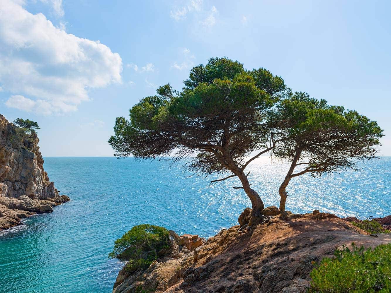 Rosas (Roses), Spain