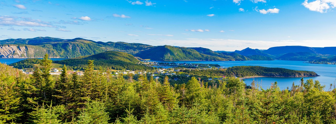 Panoramic view of Norris Point, Newfoundland, with evergreen forest in the foreground, a coastal village below, and blue bays framed by rolling hills on a Seabourn shore excursion. Bonne Bay Gros Morne Canada