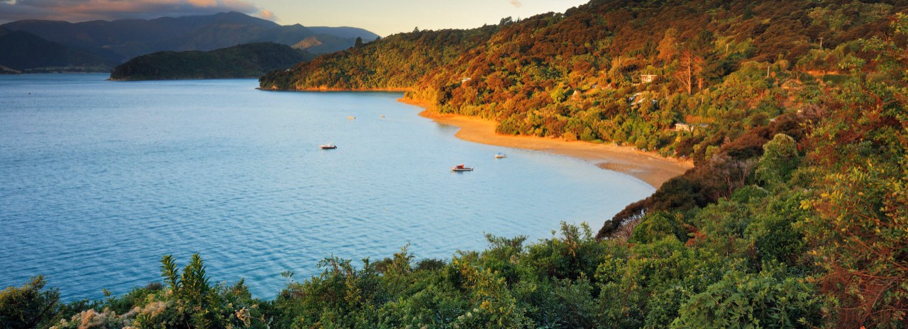 New Zealand, South Island, Oceania, Marlborough, Picton, Coastal landscape in the Kenepuru Sound, along the famous Queen Charlotte track in the Marlborough Sounds region