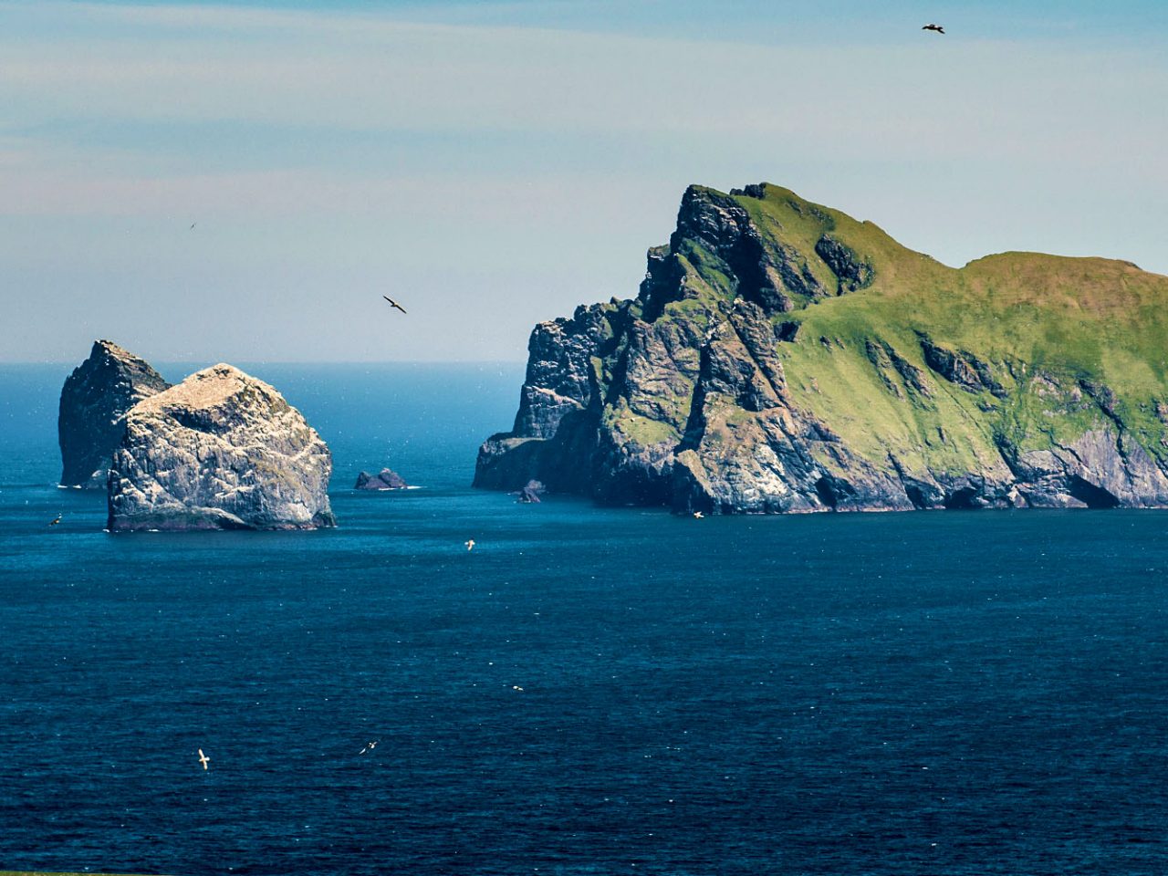 Scenic cruising Boreray and Stac Lee