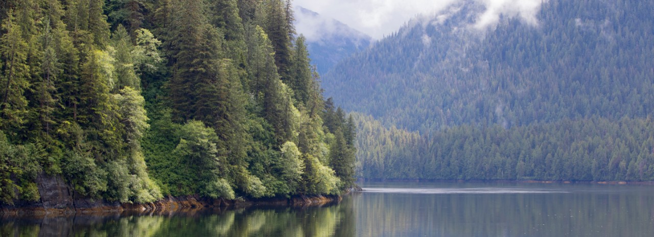 Misty Fjords National Monument, a region known for its glacial fjords, dense old-growth forests, and steep granite cliffs.