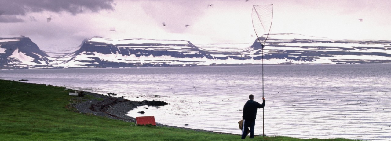 Iceland, Westfjords, Vigur, puffin hunter.