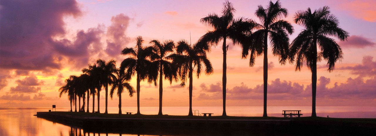 Silhouetted palm trees line a tranquil beach at sunset in Miami, Florida.