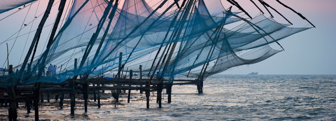 India, Kerala, Kochi, Fort cochin or Kochi, Chinese fishing nets
