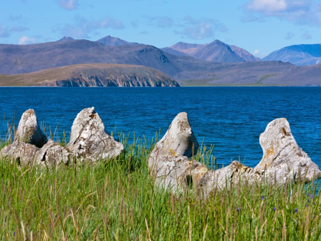 Whale jaw bones on the shore of Yttygran Island aka Whale Bone Alley, a port visited on an all-inclusive, luxury expedition Seabourn cruise. 