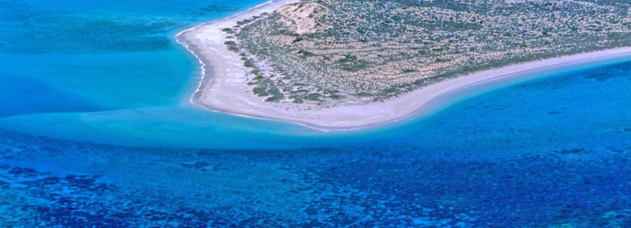 Australia, Western Australia, Exmouth, Coral Bay