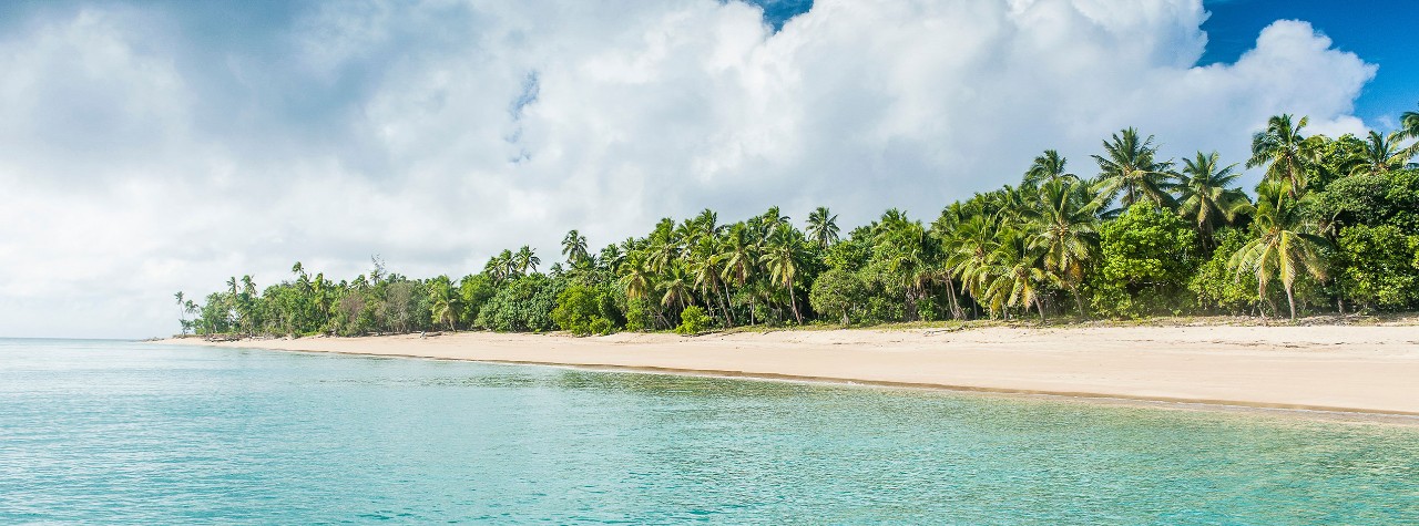 Palm fringed white sand beach in Ha'apai, Ha'apai islands, Tonga, South Pacific