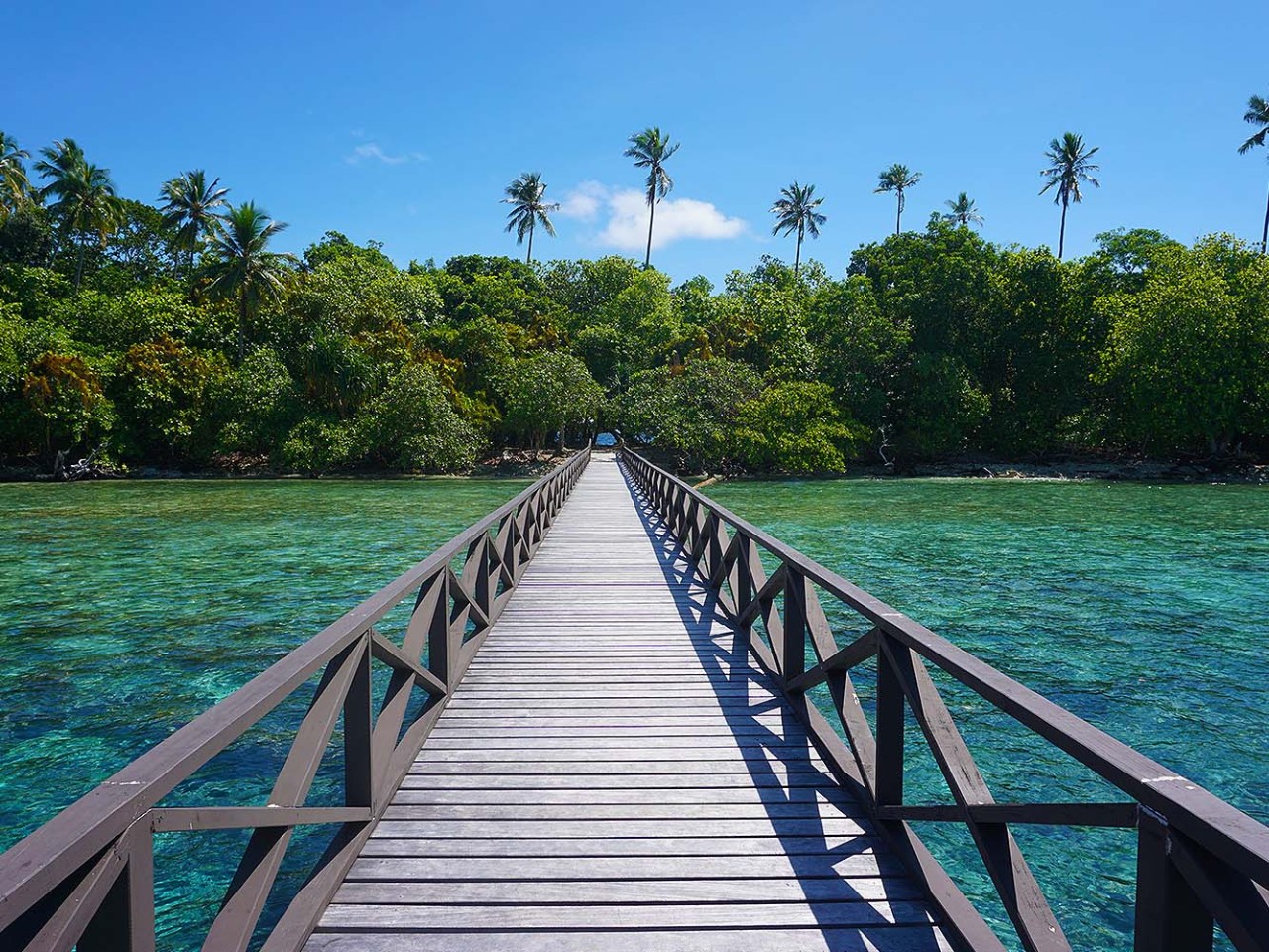 Ghizo Island, Solomon Islands 