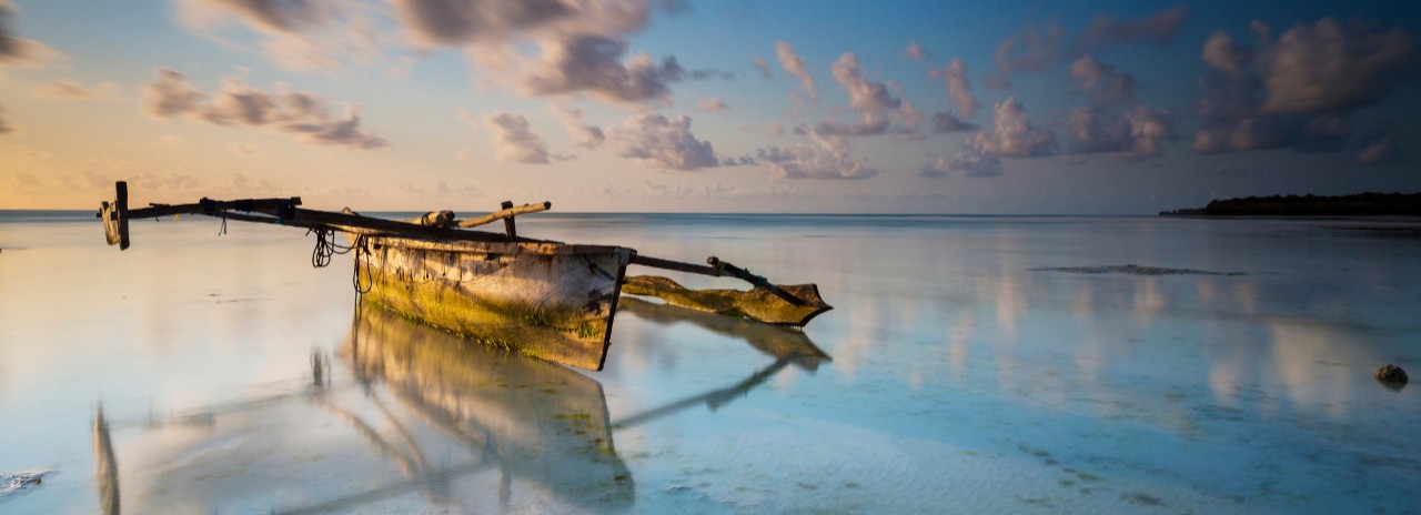 Tanzania, Zanzibar Island, Zanzibar, Indian ocean