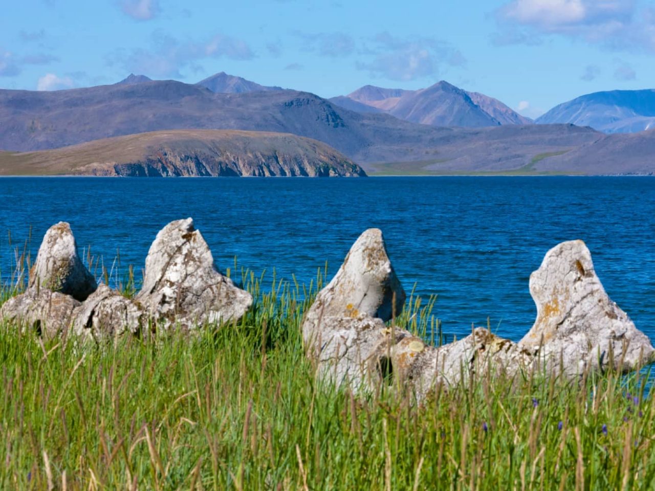 Whale jaw bones on the shore of Yttygran Island aka Whale Bone Alley, a port visited on an all-inclusive, luxury expedition Seabourn cruise. 