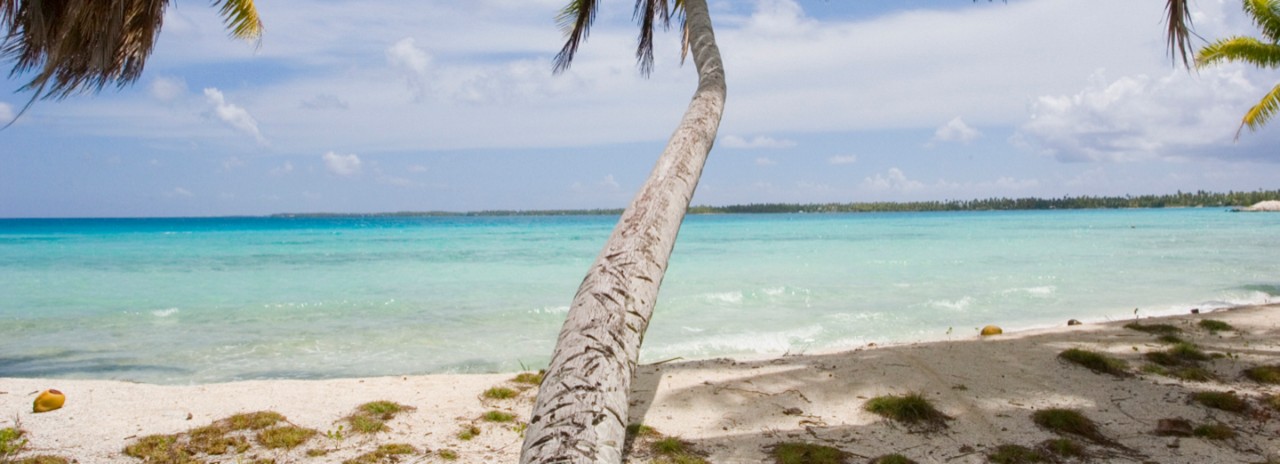 Fakarava, Tuamotus, Tahiti, French Polynesia