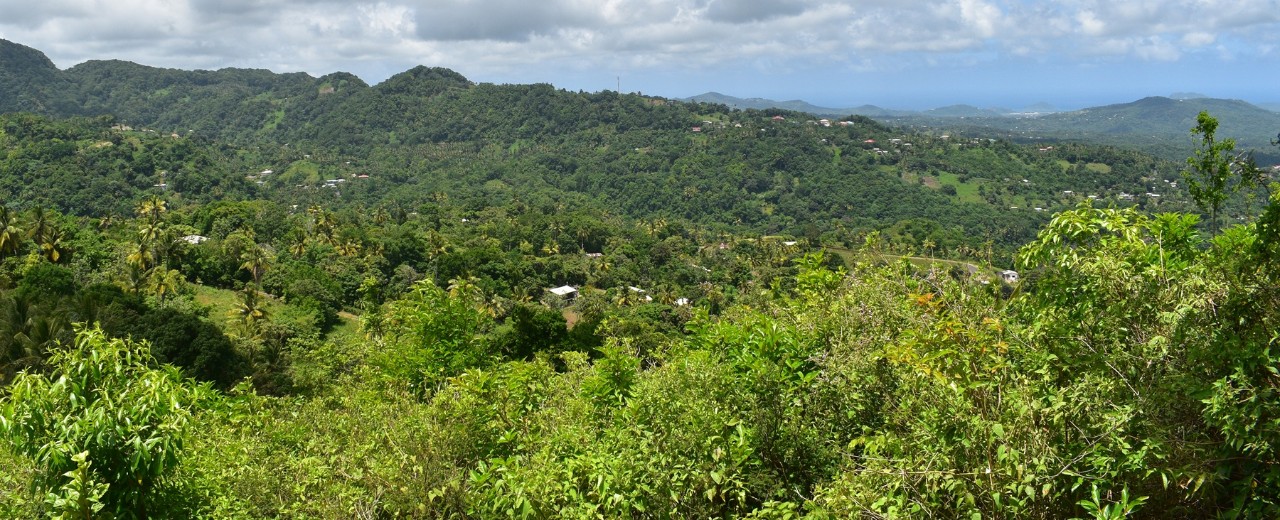 St. Lucia Rural Going Bananas: St Lucia's Farming Heritage Cruise Tour