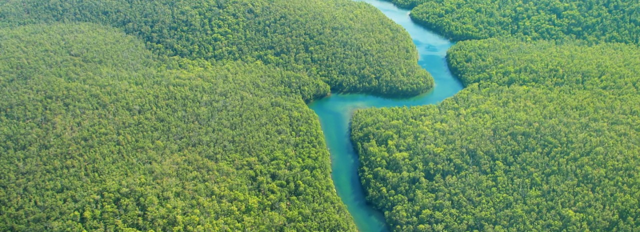 Aerial view of the Amazon River