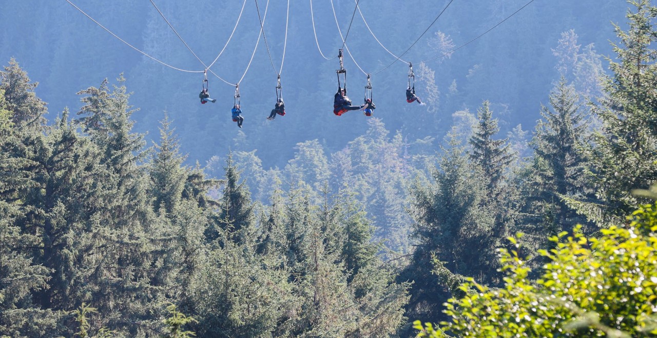 The ZipRider Adventure & Sky Peak Gondola Cruise Tour
