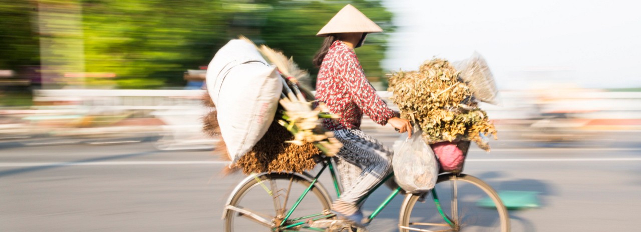 Vietnam, North Central Coast, Hue, Vietnamese woman cycling to market