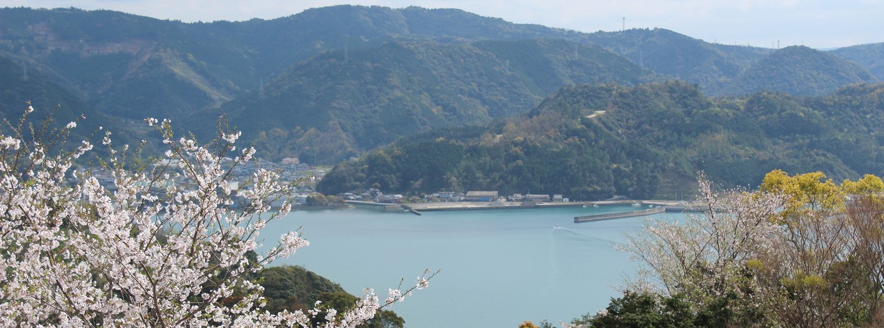 Bay in Yatsushiro, Japan, with calm turquoise water, forested mountains, and blooming cherry blossoms viewed during a Seabourn shore excursion.