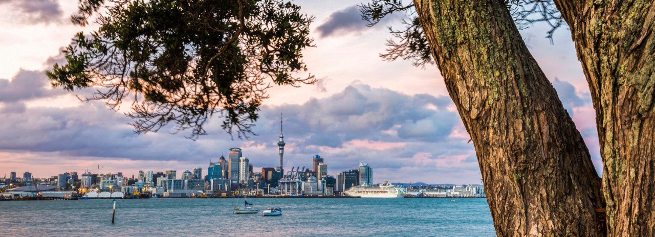 New Zealand, North Island, Auckland, Auckland skyline at sunset