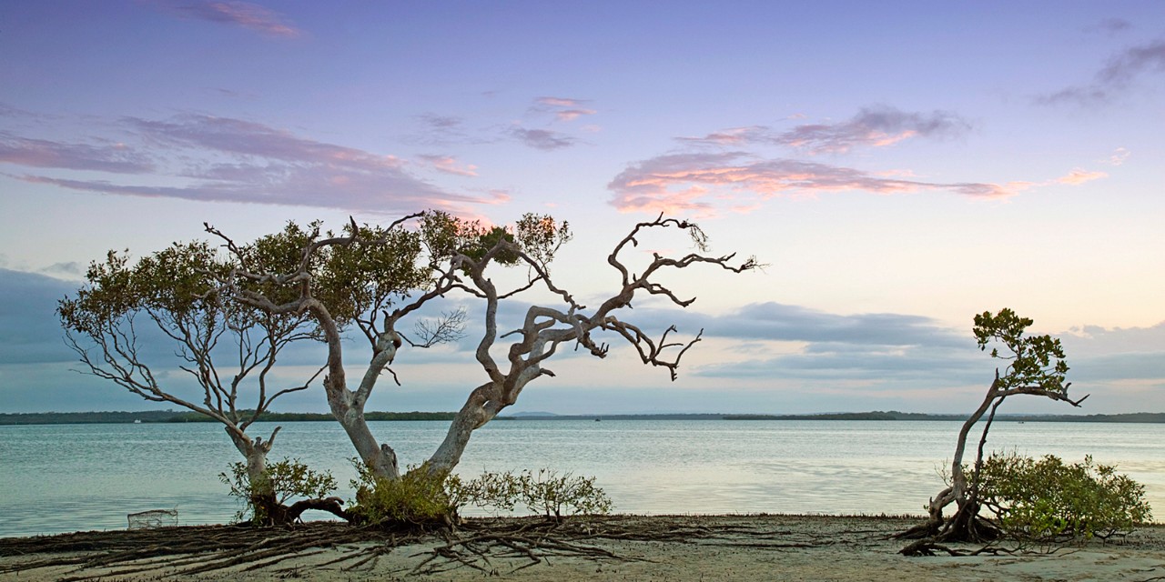 AUSTRALIA-Queensland-FRASER COAST-RAINBOW BEACH: Gateway to Fraser Island-Marsh view of Inskip Point/ Dusk