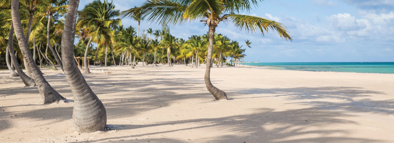 F4J4NE Juanillo Beach, Cap Cana, Punta Cana, Dominican Republic, West Indies, Caribbean, Central America