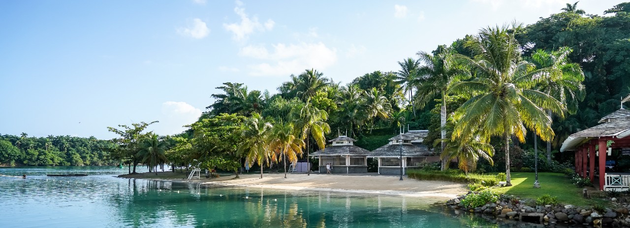A palm-tree-lined beach in Jamaica.