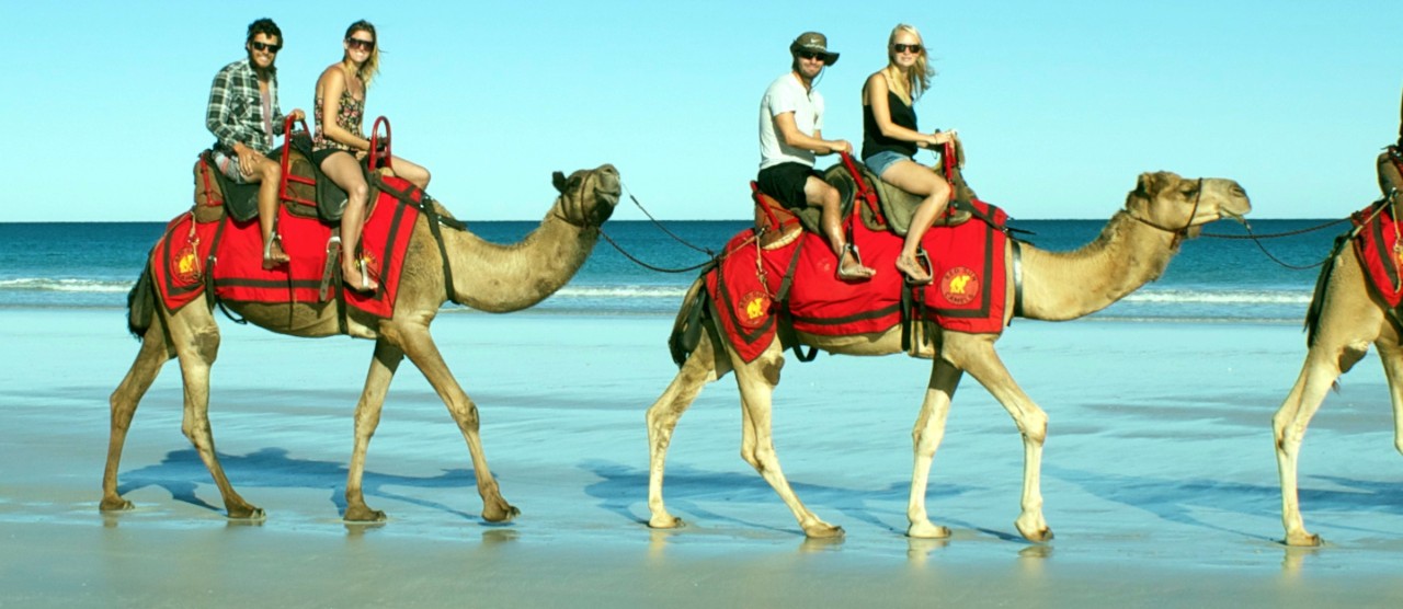 Cable Beach Camel Ride Cruise Tour