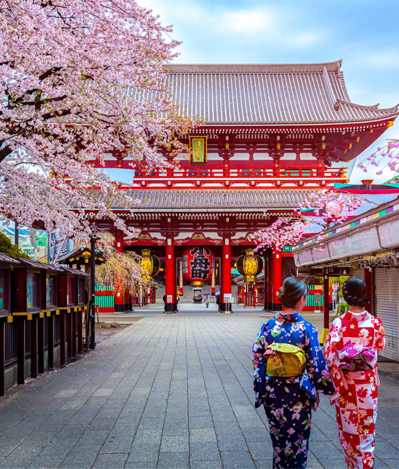 Women in traditional Japanese kimonos walk beneath blooming cherry blossom trees toward the iconic Kaminarimon gate of Senso-ji Temple in Asakusa, Tokyo.