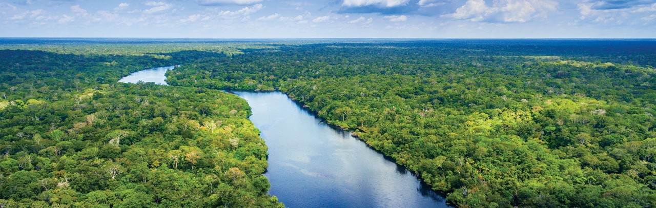 Aerial view of a winding river flowing through the lush Amazon rainforest beneath a wide sky, showcasing a remote shore excursion destination.