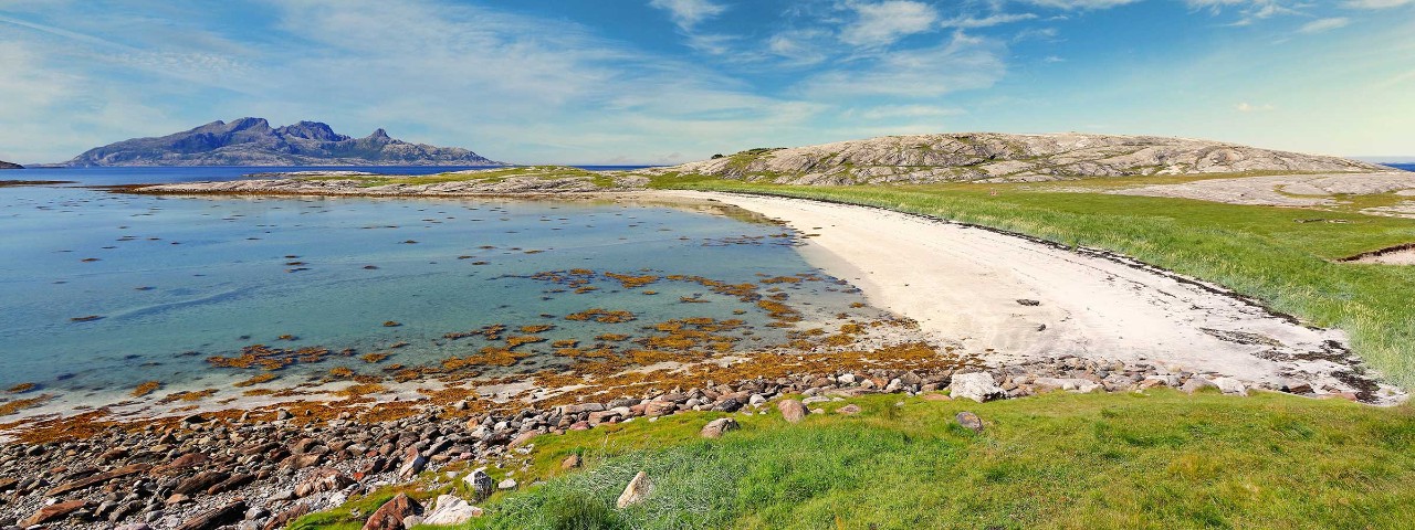 Beach near green plain with small mountain in background in Bodo, Norway